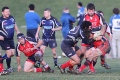 Seaford 1XV (46) v Brighton 2XV (12) 07.01.12 © Jane Stokes (DJ Stotty Images)