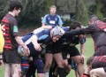 THE BULLDOGS v TWICKENHAM Saturday 15th January, 2011