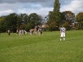 Hull v Newcastle 2010-11