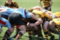 Kent Salver 2011