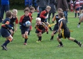 U8's Reeds A Festival still