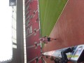 Saints Run a Mile at SMS 2011