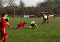 Birmingham Vase Semi Final