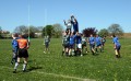 Toddy's V Birstall 2nd 2011