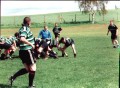 Old Dogs 2001