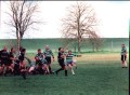 Old Dogs 2001