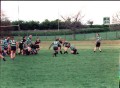 Old Dogs 2001
