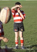 U9 v Atherstone @ CRFC 2010-11-13
