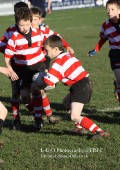 U9 v Atherstone @ CRFC 2010-11-13