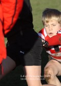 U9 v Atherstone @ CRFC 2010-11-13