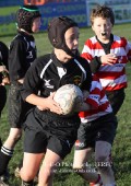 U9 v Atherstone @ CRFC 2010-11-13