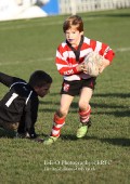 U9 v Atherstone @ CRFC 2010-11-13