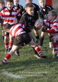 U9 v Atherstone @ CRFC 2010-11-13