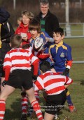 U9 v Kenilworth RFC - 16th Jan 2011