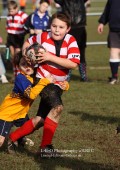 U9 v Kenilworth RFC - 16th Jan 2011
