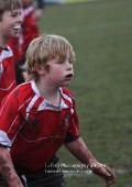 U10 v Nuneaton @ CRFC 22nd Jan 2011
