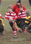 U8 v Hinckley RFC - 30th Jan 11
