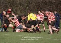 1st XV v Cheltenham North RFC - 26th Feb 2011
