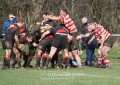 1st XV v Cheltenham North RFC - 26th Feb 2011