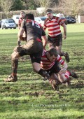 1st XV v Cheltenham North RFC - 26th Feb 2011
