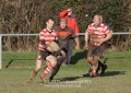 1st XV v Cheltenham North RFC - 26th Feb 2011