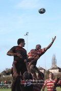 1st XV v Cheltenham North RFC - 26th Feb 2011