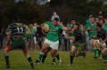 COREY WINDLE - UP THE GUTS
2009 GRAND FINAL