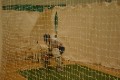 Winter Nets